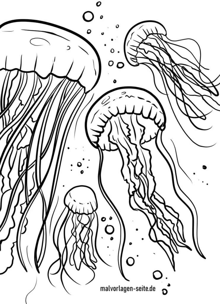 quallen-im-meer-ausmalvorlage