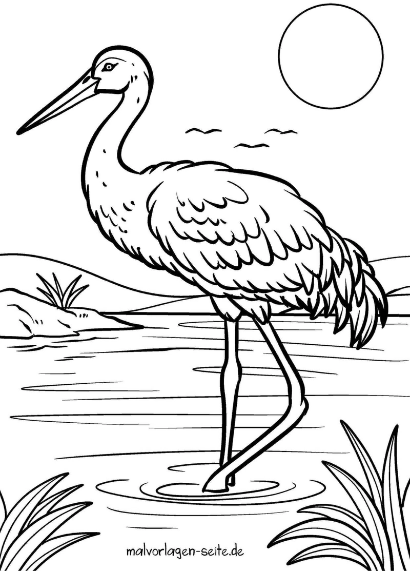 reiher-am-wasser-mit-pflanzen