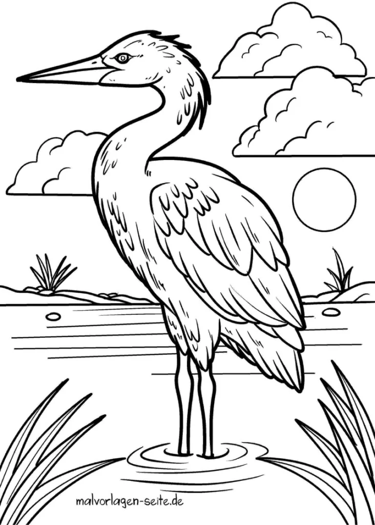 reiher-in-der-natur-mit-wolken-und-sonne