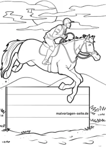 reiter-auf-pferd-springend-ueber-hindernis