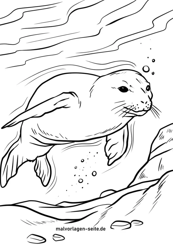 robbe-im-wasser-mit-wellen-und-blasen