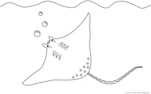 rochen-im-wasser-mit-blasen