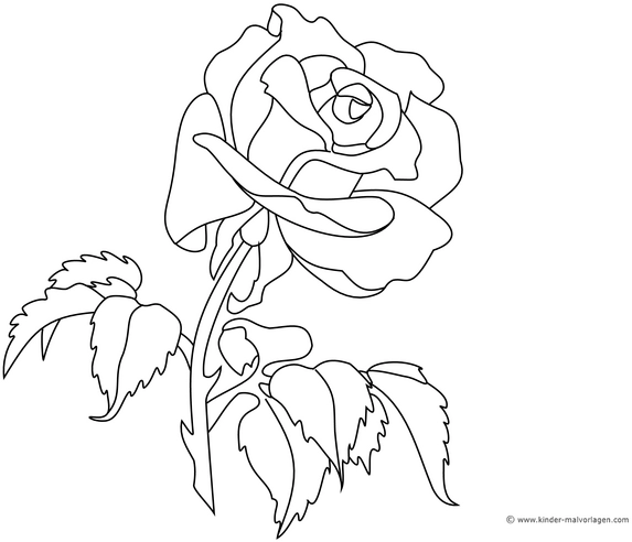 rose-ausmalvorlage-elegante-bluetenzeichnung