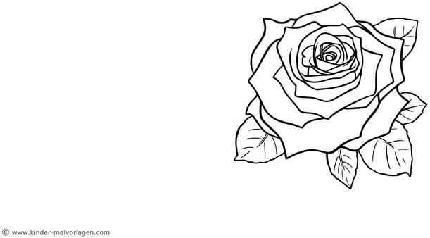 rose-ausmalvorlage-fuer-kinder-mit-detailreichen-bluetenblaettern