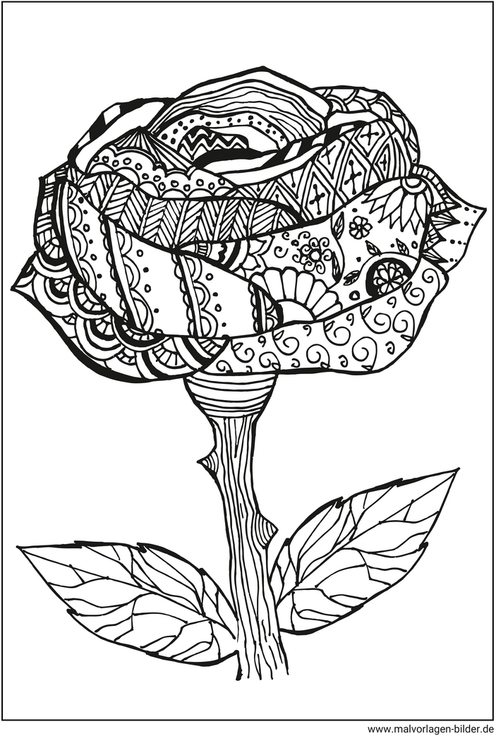 rose-mit-kreativen-mustern-ausmalen