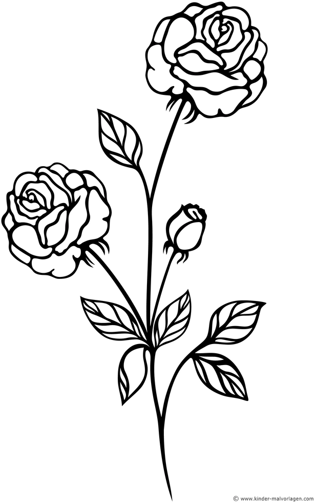 rosen-blumen-ausmalvorlage