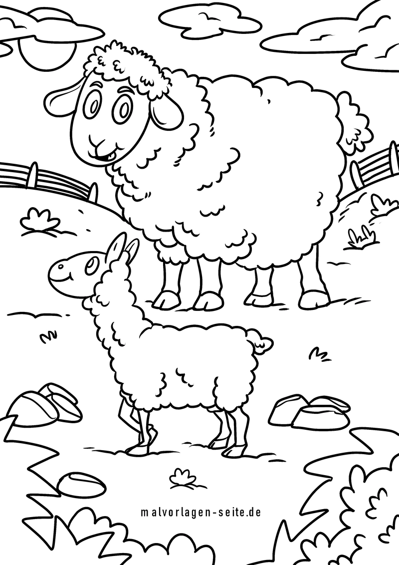 schafe-und-lamm-in-laendlicher-umgebung