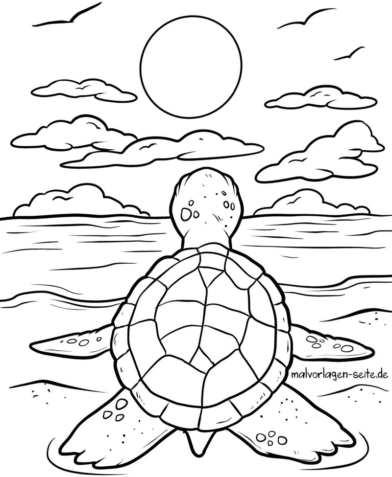 schildkroete-am-strand-mit-sonne-und-wolken