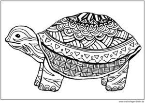 schildkroete-ausmalen-mit-mustern