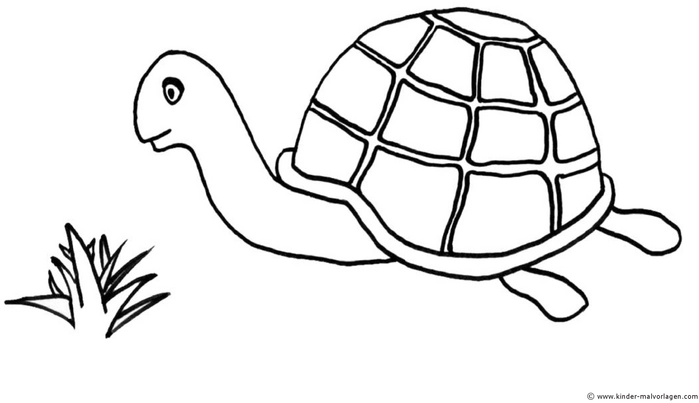 schildkroete-ausmalvorlage-ideen