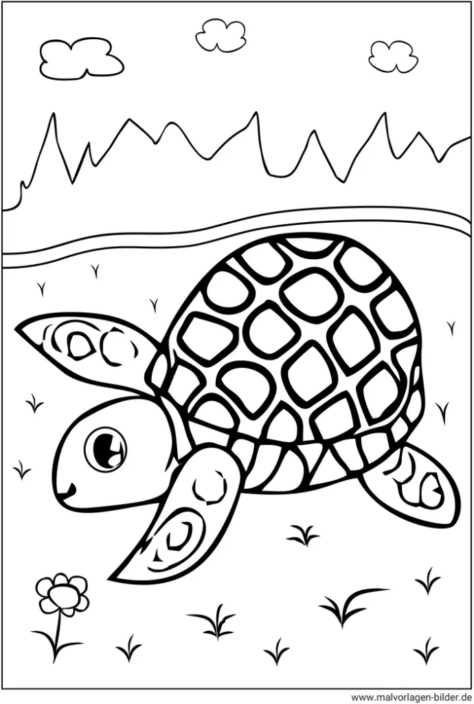 schildkroete-in-der-natur-ausmalbild