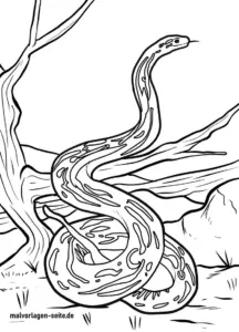 schlange-in-der-natur-ausmalvorlage