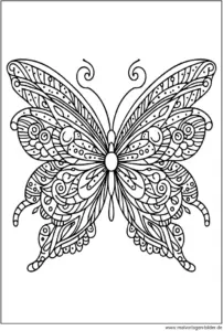 schmetterling-ausmalbild-fuer-erwachsene