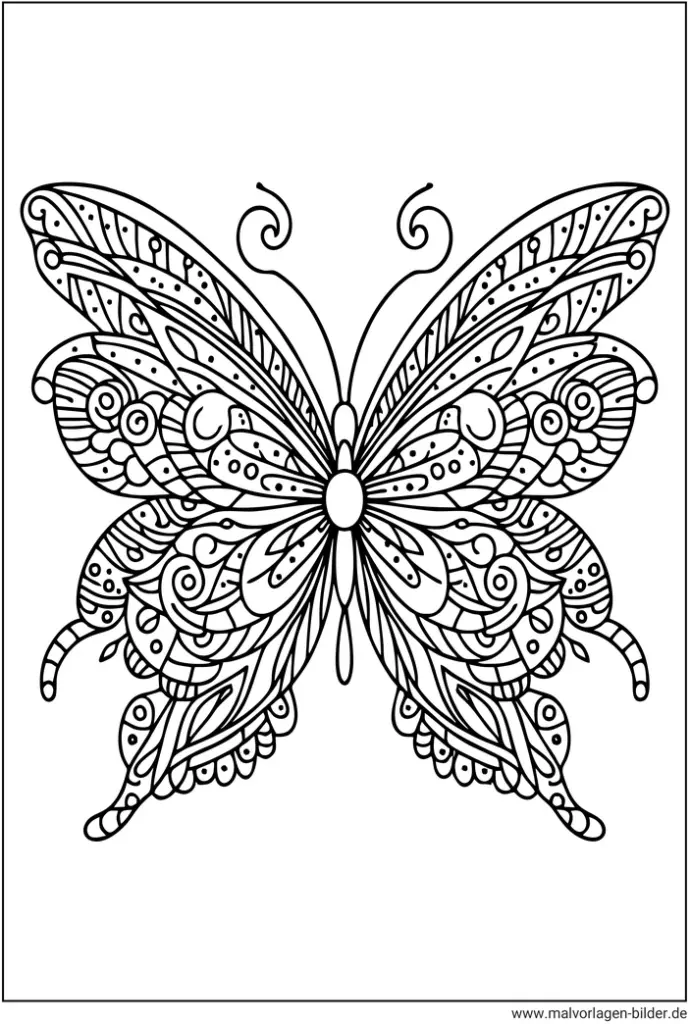 schmetterling-ausmalbild-fuer-erwachsene
