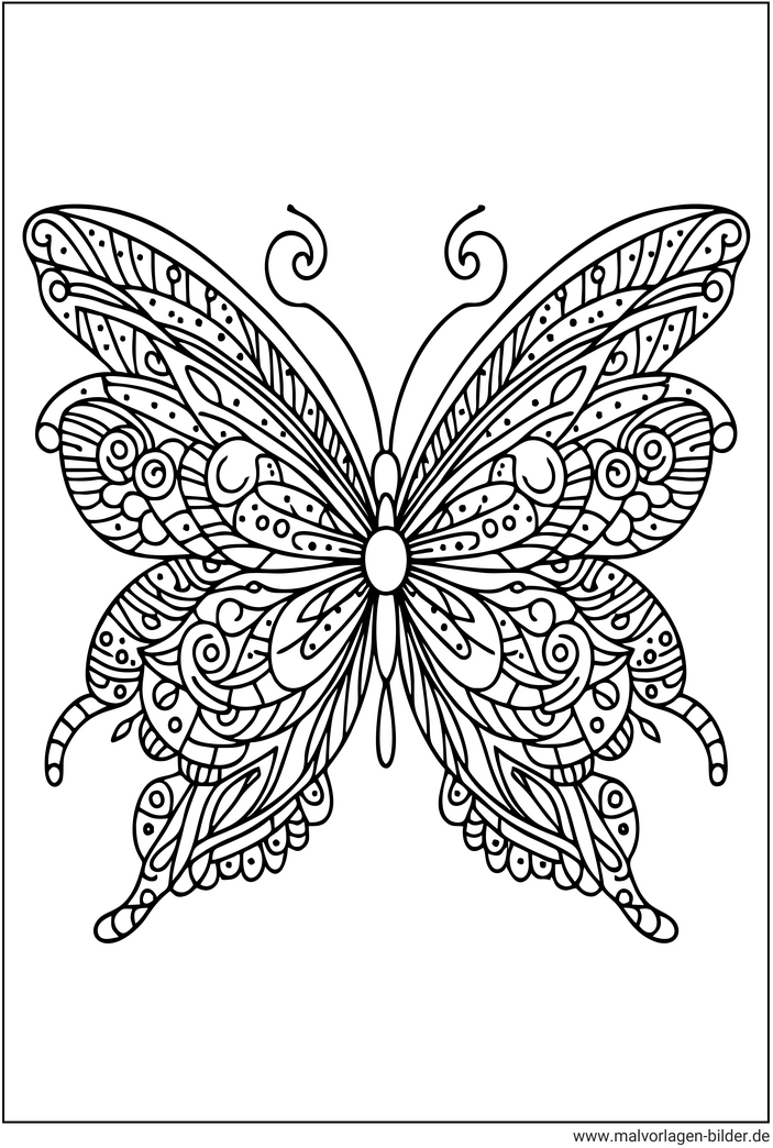 schmetterling-ausmalbild-fuer-erwachsene