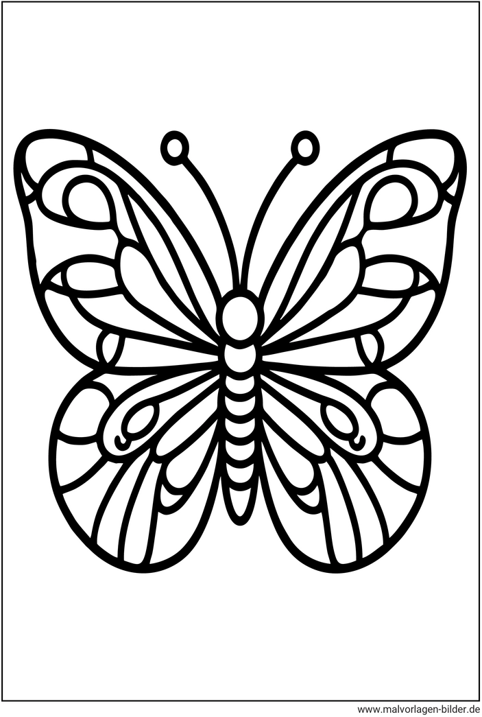 schmetterling-ausmalvorlage-kreative-ideen