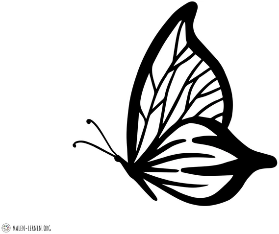 schmetterling-ausmalvorlage-mit-filigranen-mustern