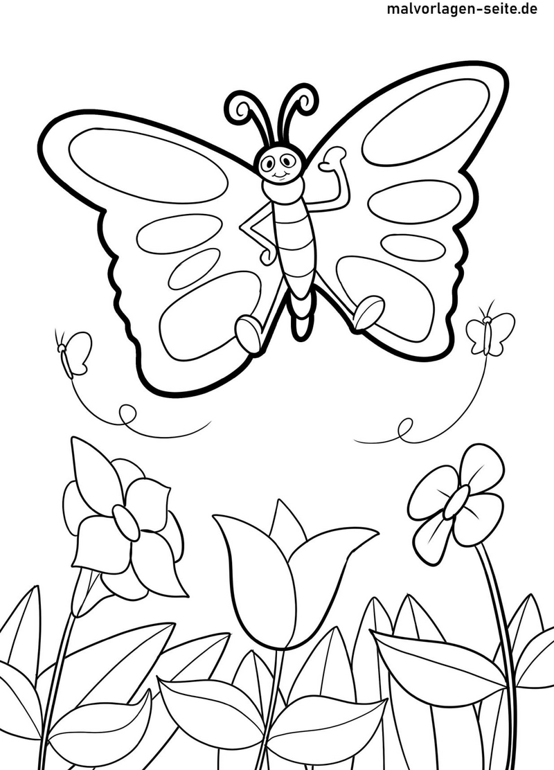 schmetterling-blumenwiese-ausmalvorlage