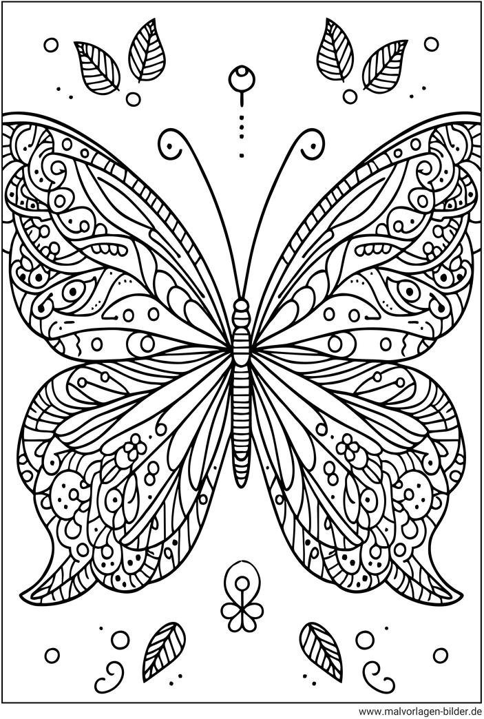 schmetterling-malen-ausmalvorlage-kreativ
