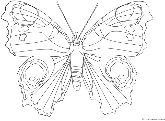 schmetterling-malen-ausmalvorlage