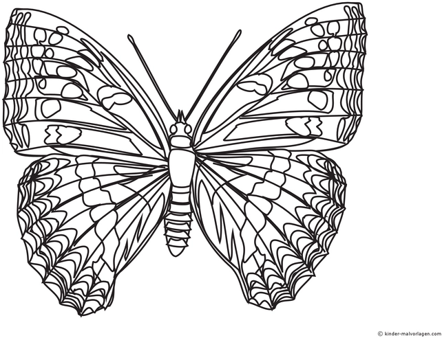 schmetterling-malen-vorlage-kreativ-ausmalen