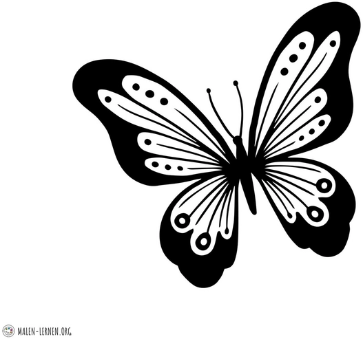 schmetterling-malvorlage-farbenfroh-ausmalen