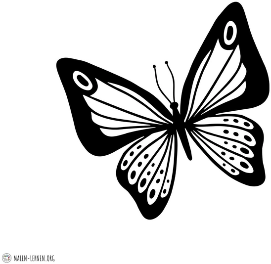 schmetterling-malvorlage-fuer-kinder