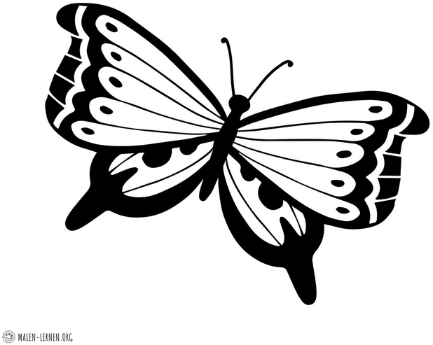 schmetterling-malvorlage-fuer-kreative-auszeiten