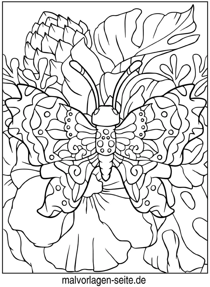 schmetterling-zwischen-blumen-ausmalvorlage