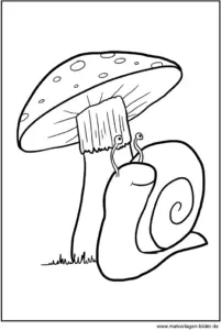 schnecke-unter-pilz-ausmalvorlage