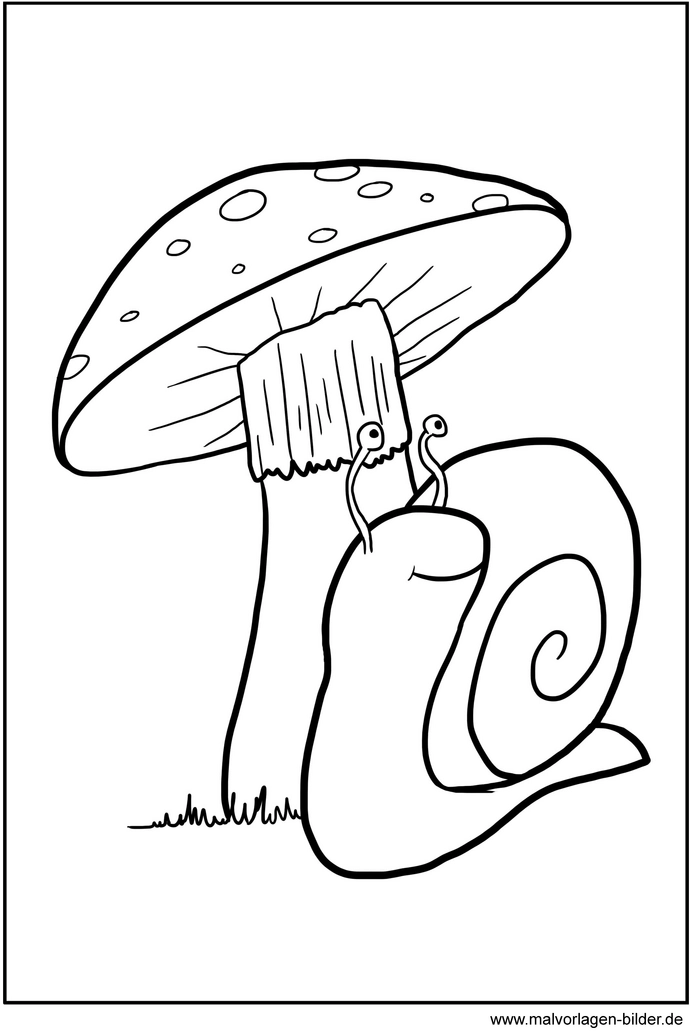 schnecke-unter-pilz-ausmalvorlage