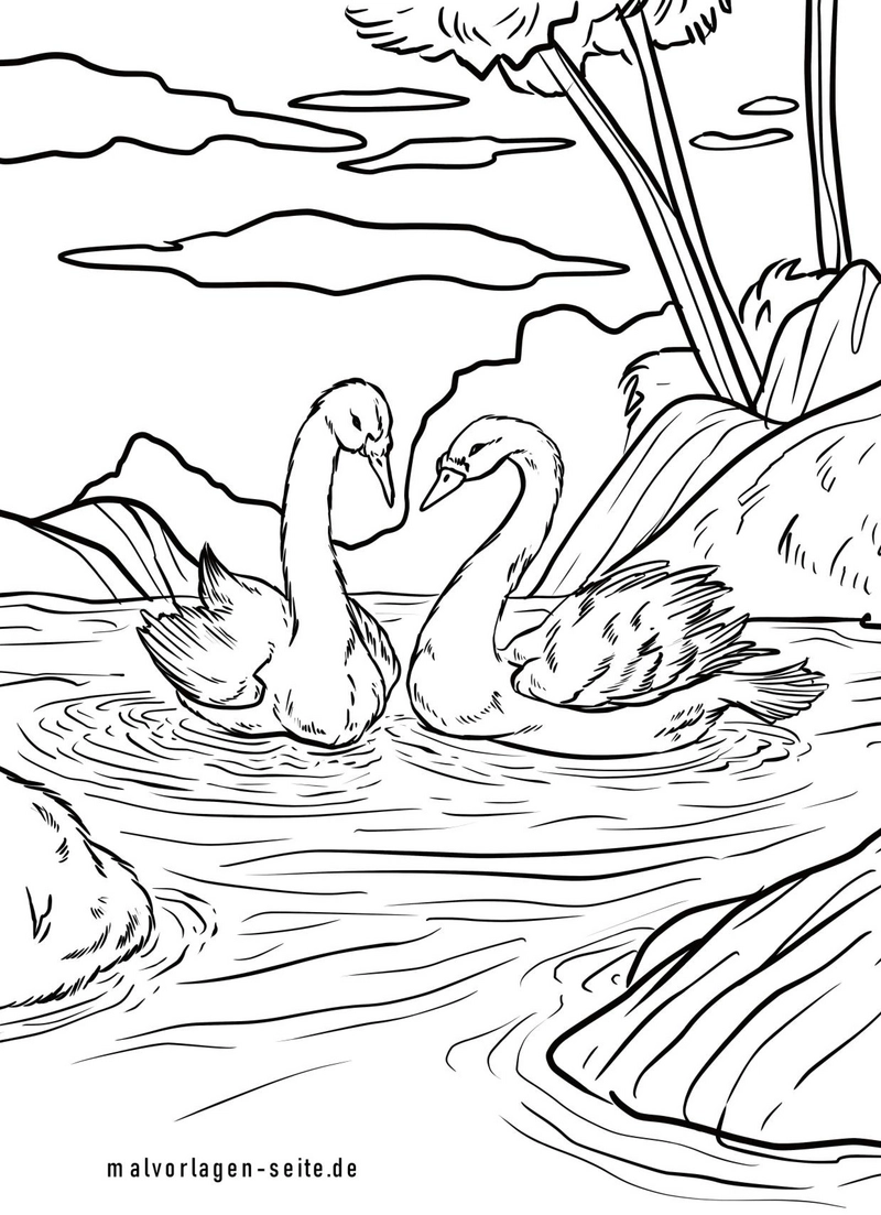 schwaene-paar-im-wasser-malen