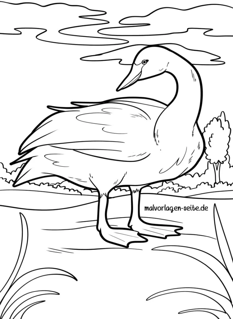 schwan-am-wasser-ausmalvorlage