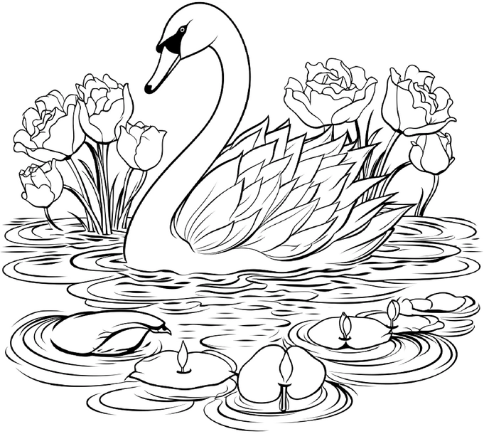 schwan-mit-wasserlilien-und-blumen