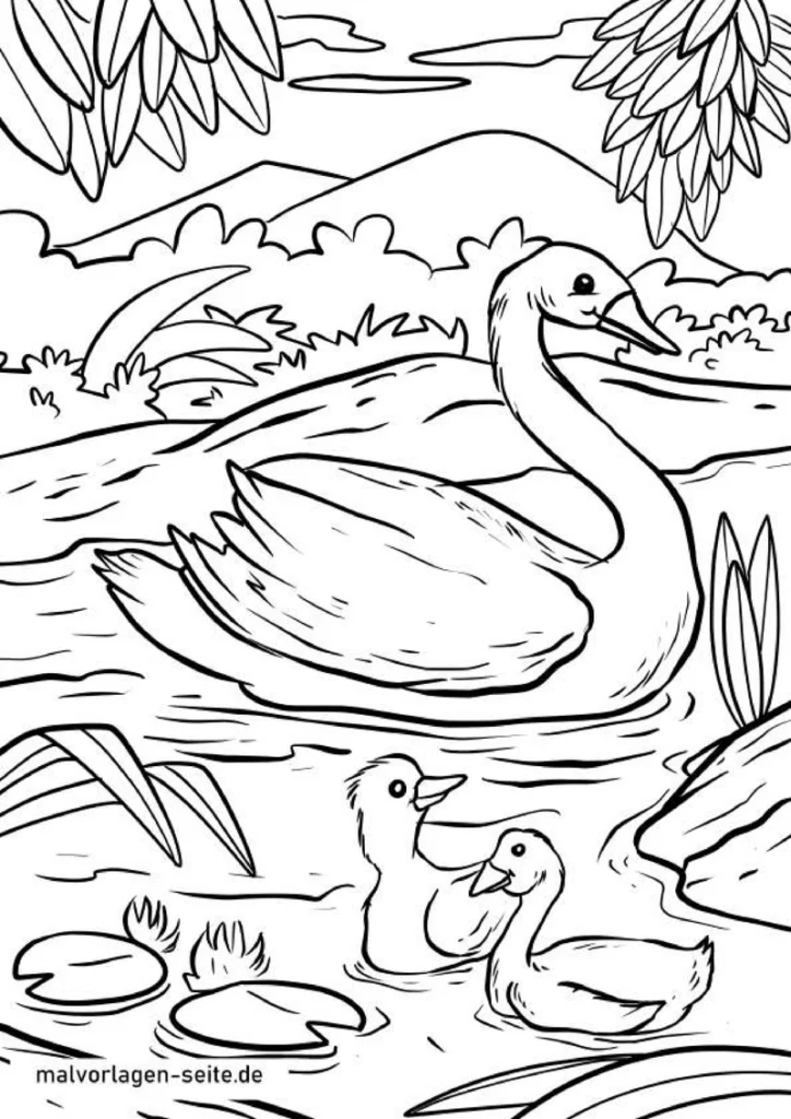 schwan-und-kueken-in-natur