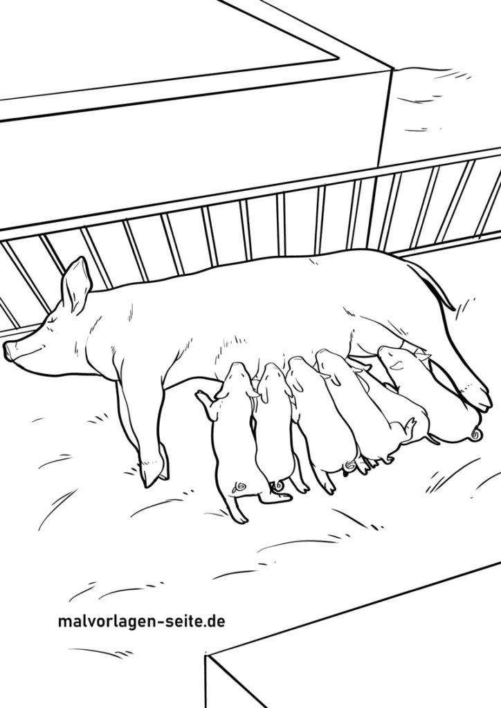 schwein-mit-ferkeln-bauernhof-malen