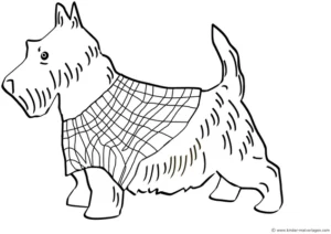 scottish-terrier-mit-muster-ausmalen