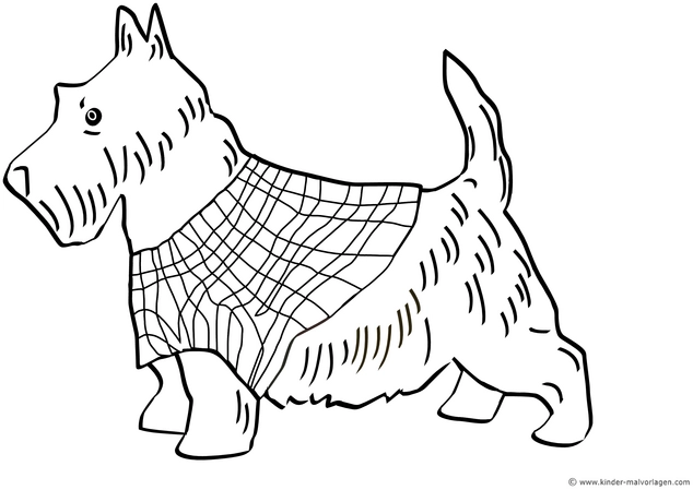 scottish-terrier-mit-muster-ausmalen