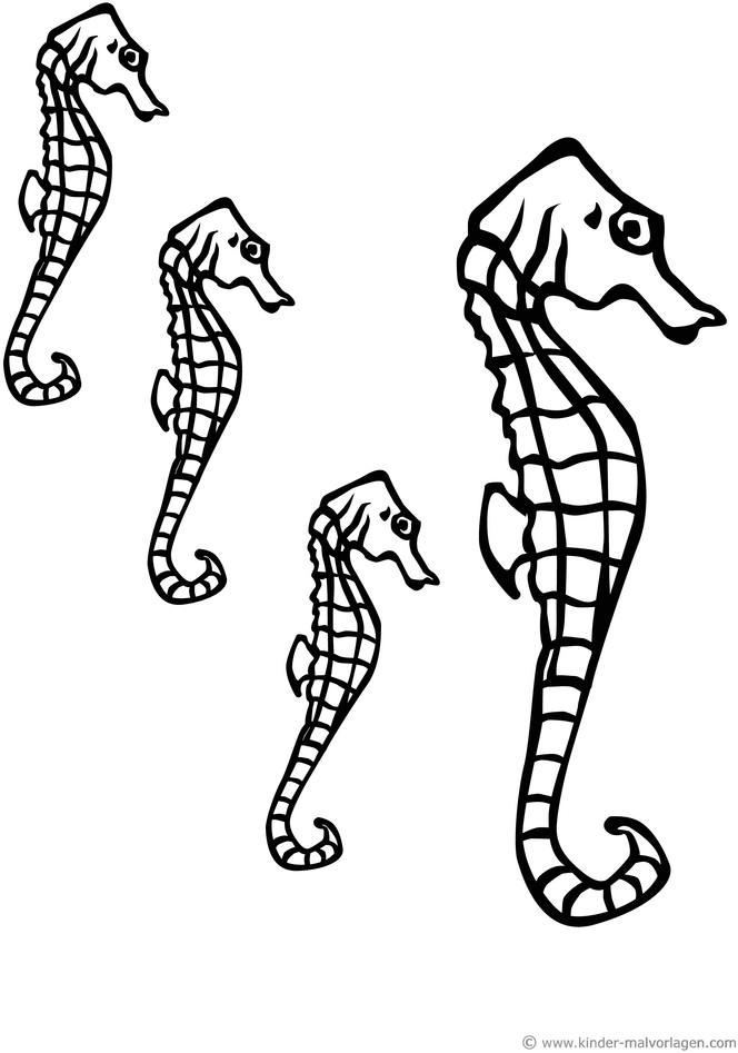 seepferdchen-malvorlage-fuer-kinder