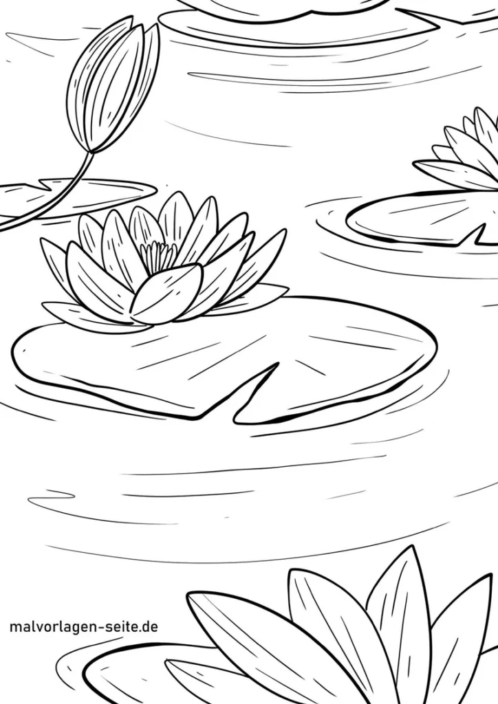 seerosen-und-wasserblumen-ausmalen