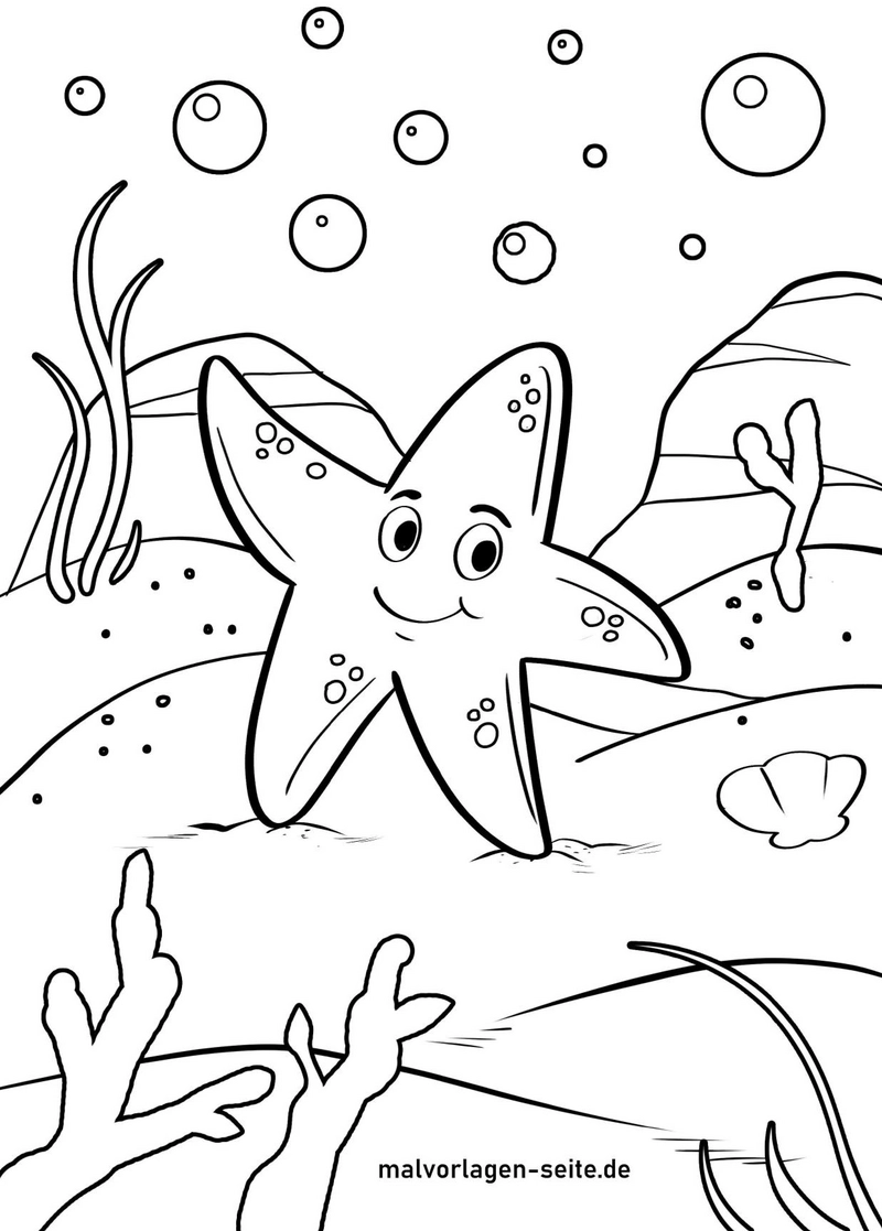 seestern-in-unterwasserwelt-mit-korallen-und-blasen