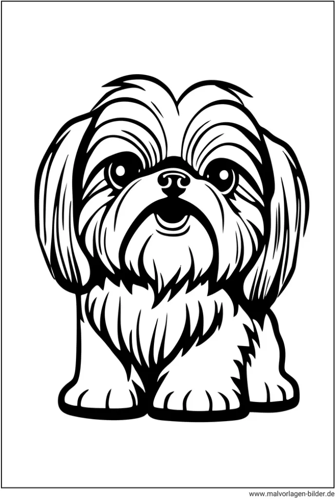 shih-tzu-hund-ausmalvorlage