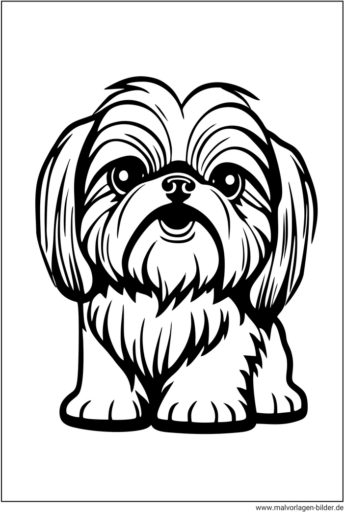 shih-tzu-hund-ausmalvorlage