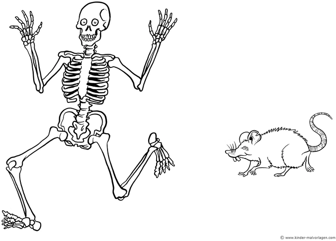 skelett-und-ratte-malvorlage