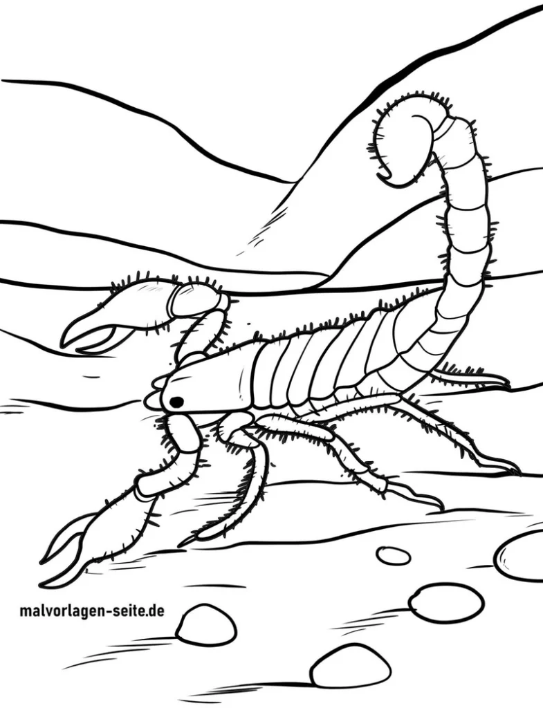 skorpion-malvorlage-in-der-wueste
