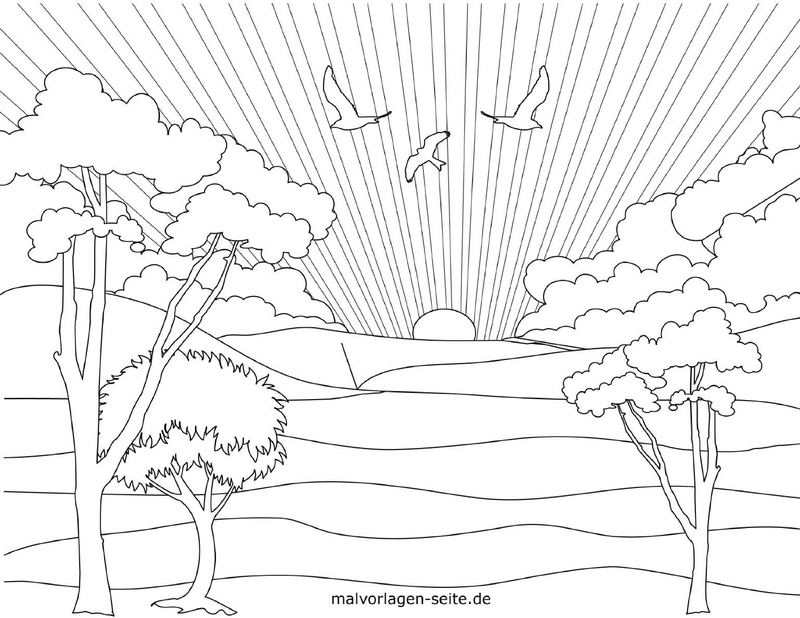 sonnenaufgang-mit-voegeln-und-baeumen