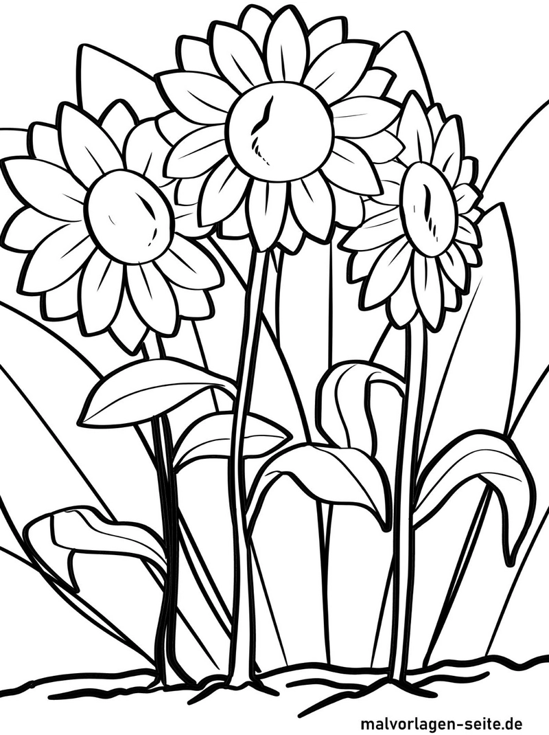 sonnenblumen-im-fruehling-malen