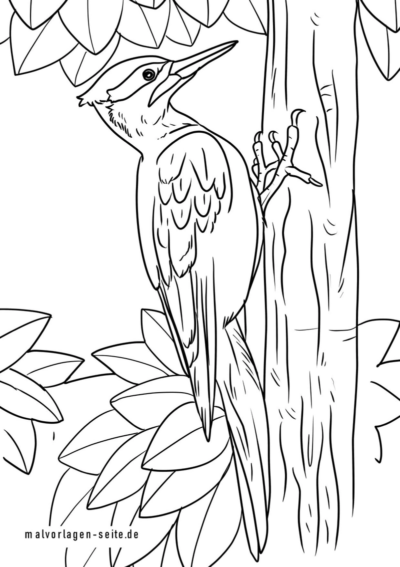 specht-an-baum-mit-laub