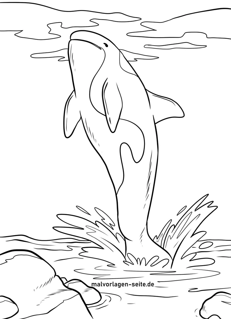 springender-orka-ausmalvorlage-fuer-kinder