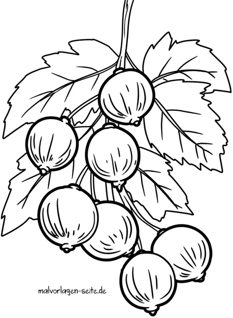 stachelbeeren-zum-ausmalen
